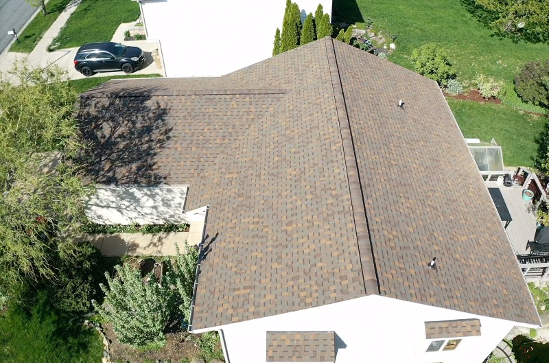 shingle 11